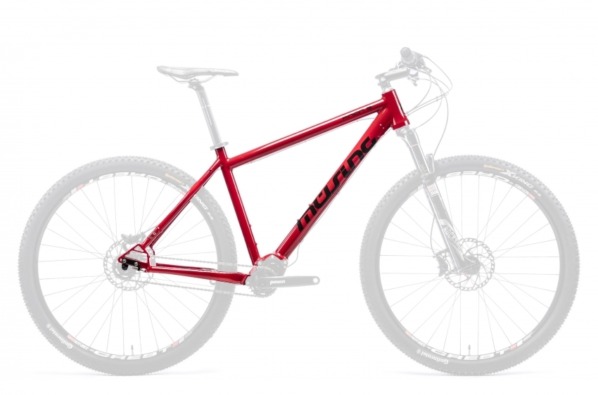 pinion 29er