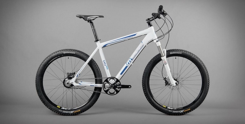 rohloff mountain bike