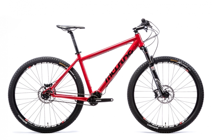 pinion mtb 29