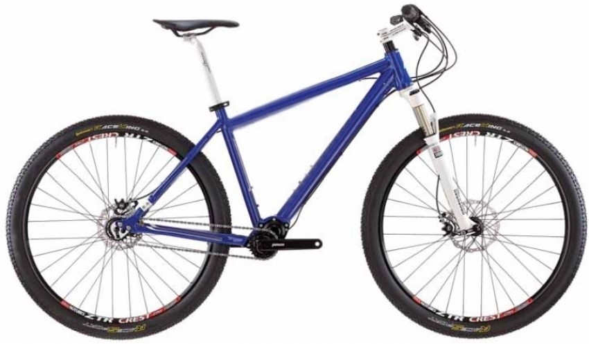 pinion mtb 29